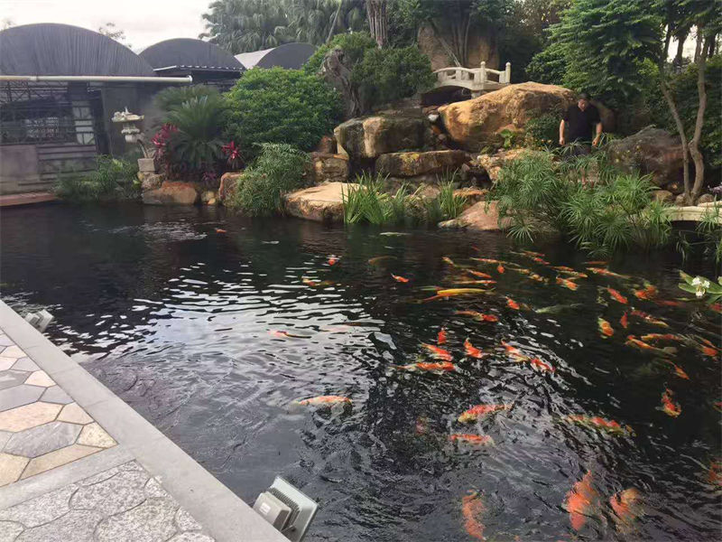 宿迁锦鲤鱼池